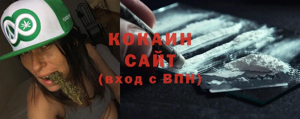 кокс Алексин