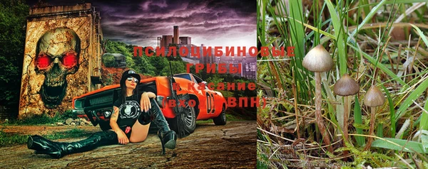 кокс Алексин