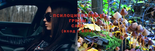 СК Алексеевка