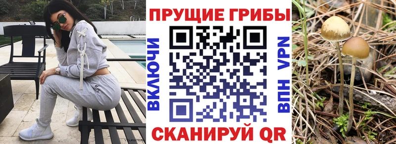 Псилоцибиновые грибы GOLDEN TEACHER Майкоп